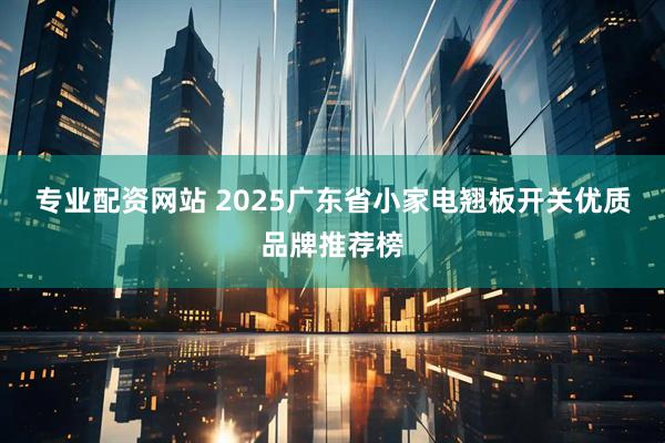 专业配资网站 2025广东省小家电翘板开关优质品牌推荐榜